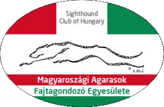 MAGFE LOGO